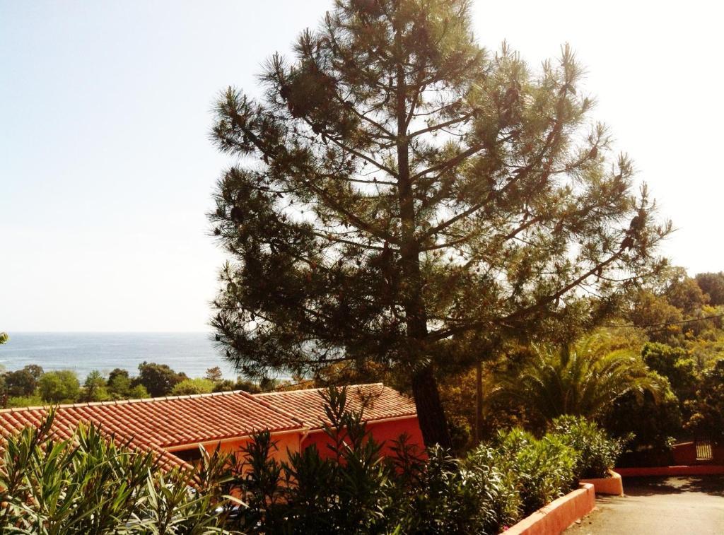 Hotel Residence San Pieru Tarcu 외부 사진
