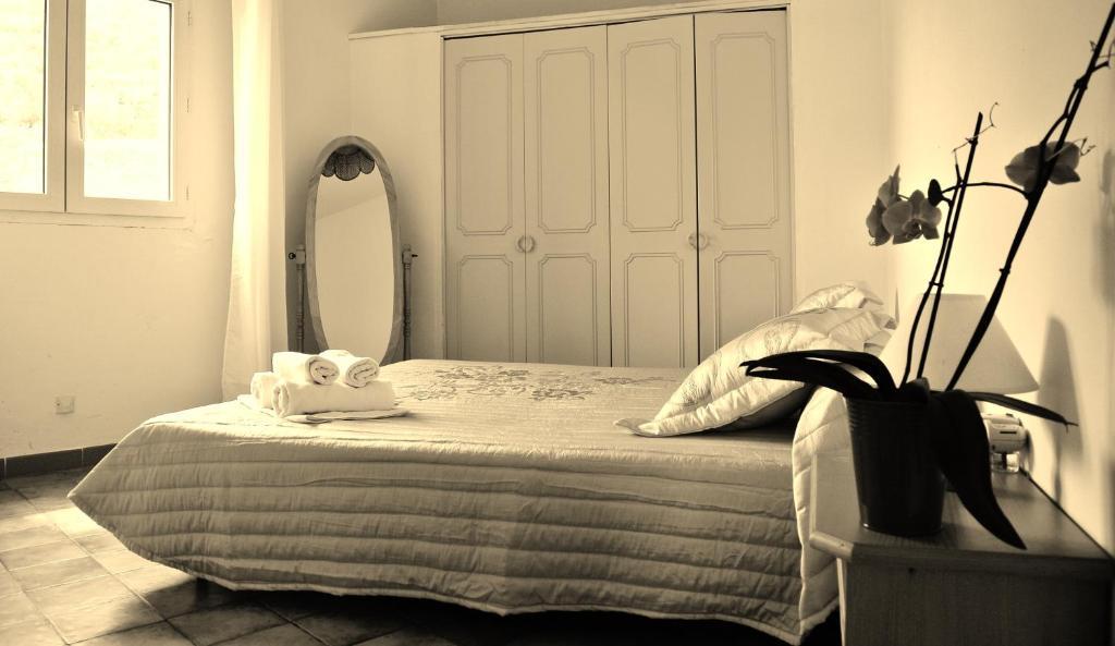 Hotel Residence San Pieru Tarcu 외부 사진