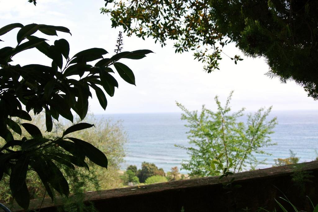 Hotel Residence San Pieru Tarcu 외부 사진