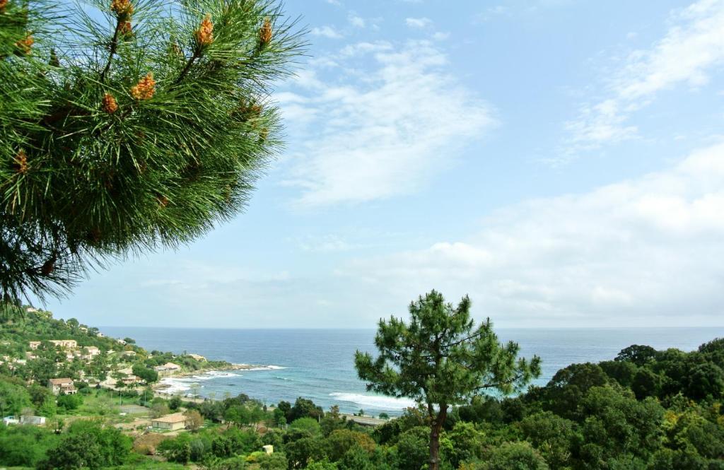 Hotel Residence San Pieru Tarcu 외부 사진
