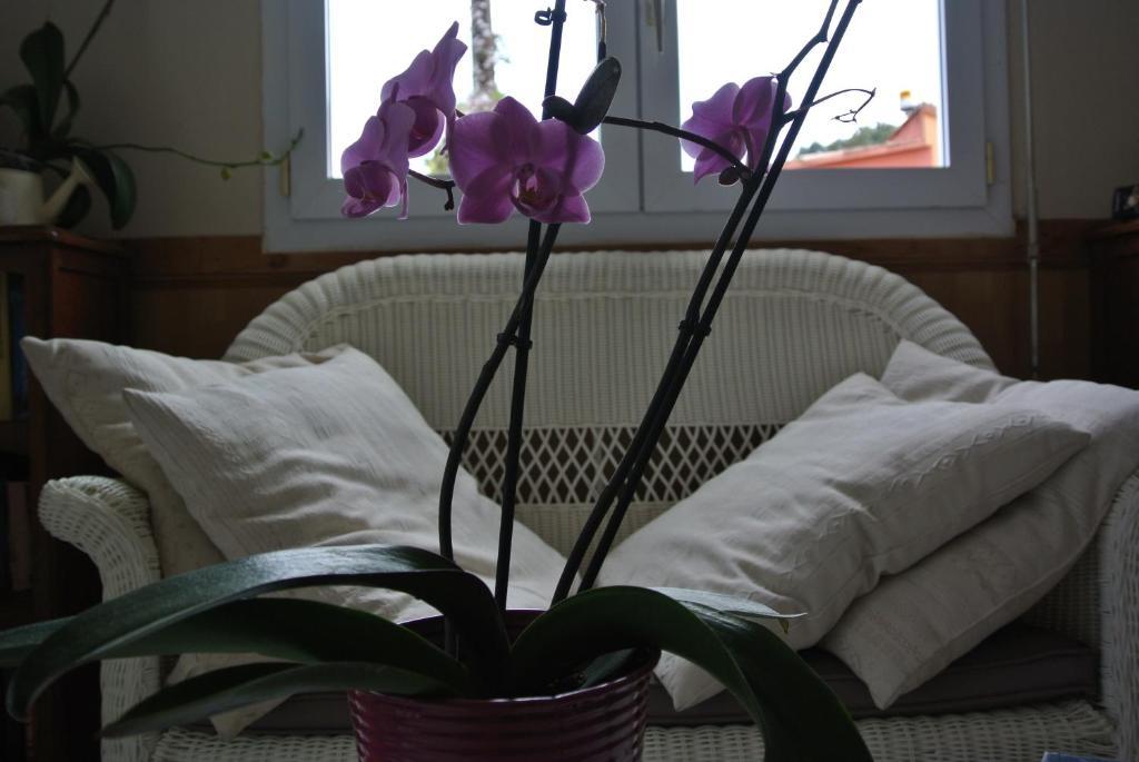 Hotel Residence San Pieru Tarcu 객실 사진